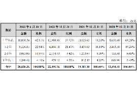 玛沁收债公司哪里找？揭秘债务催收服务的选择指南
