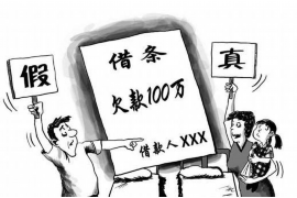 沙河口要钱公司排名：揭秘大连金融实力派